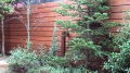 Wall & Fence40.jpg